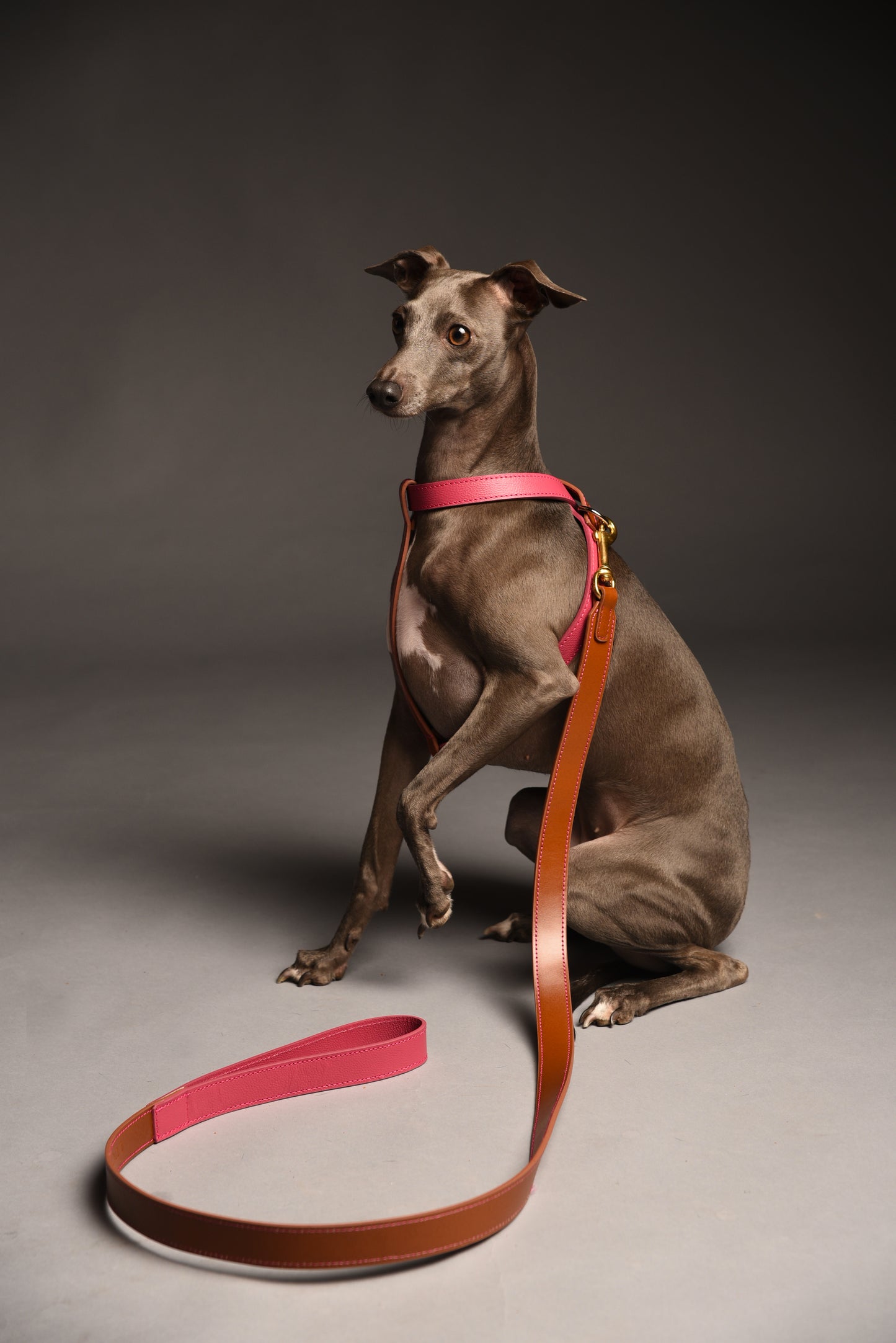 Lyche/Cocoa Leather Harness