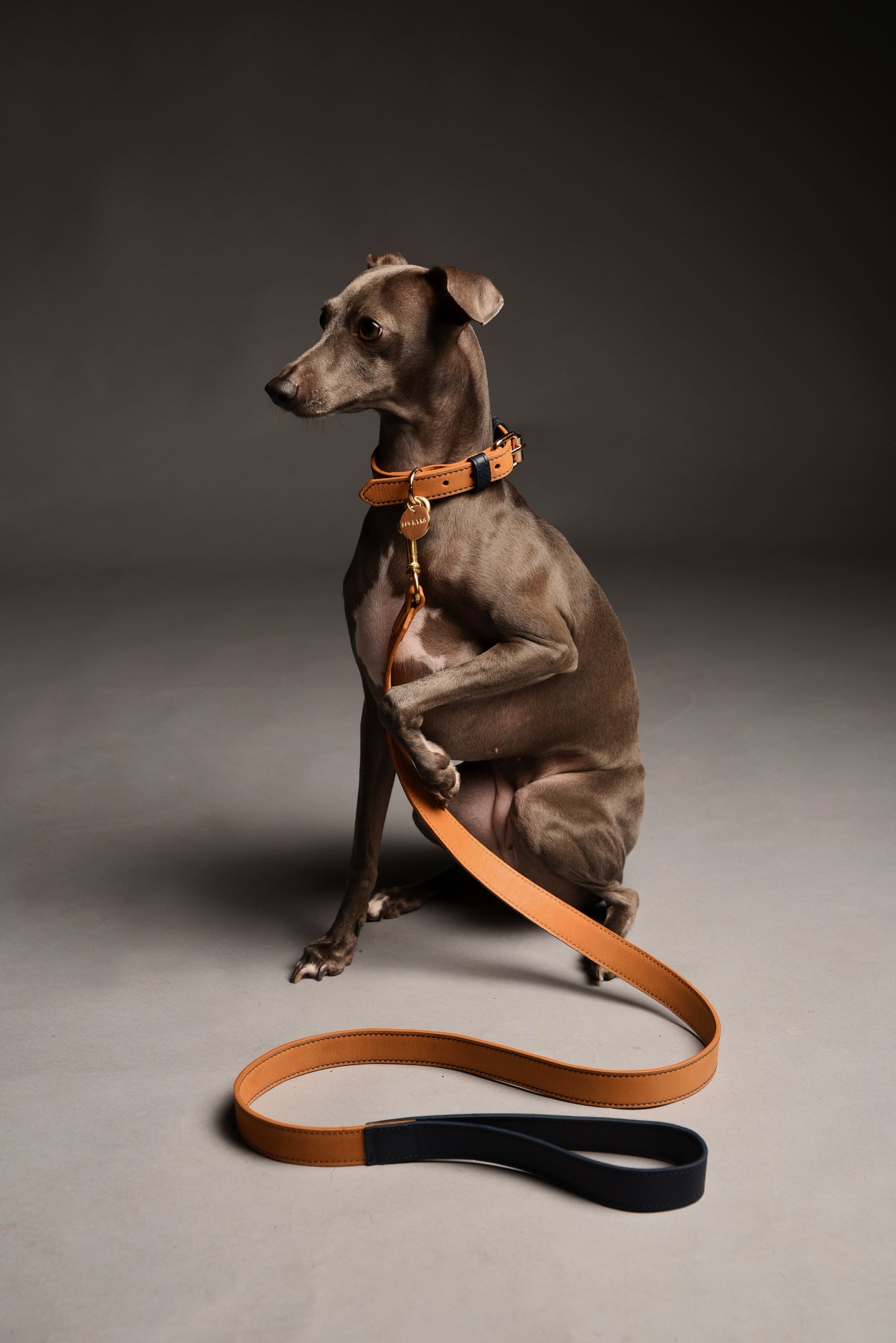 Coconut/Blueberry Leather Collar