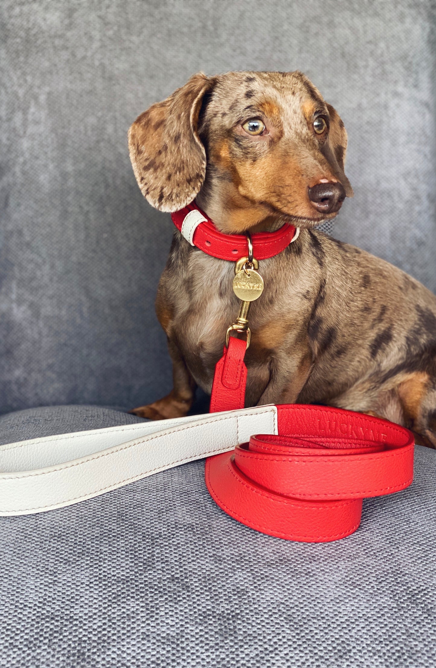 Cherry/Cream Leather Collar