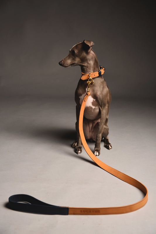 Coconut/Blueberry Leather Collar