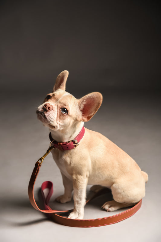 Lychee/Cocoa Leather Collar