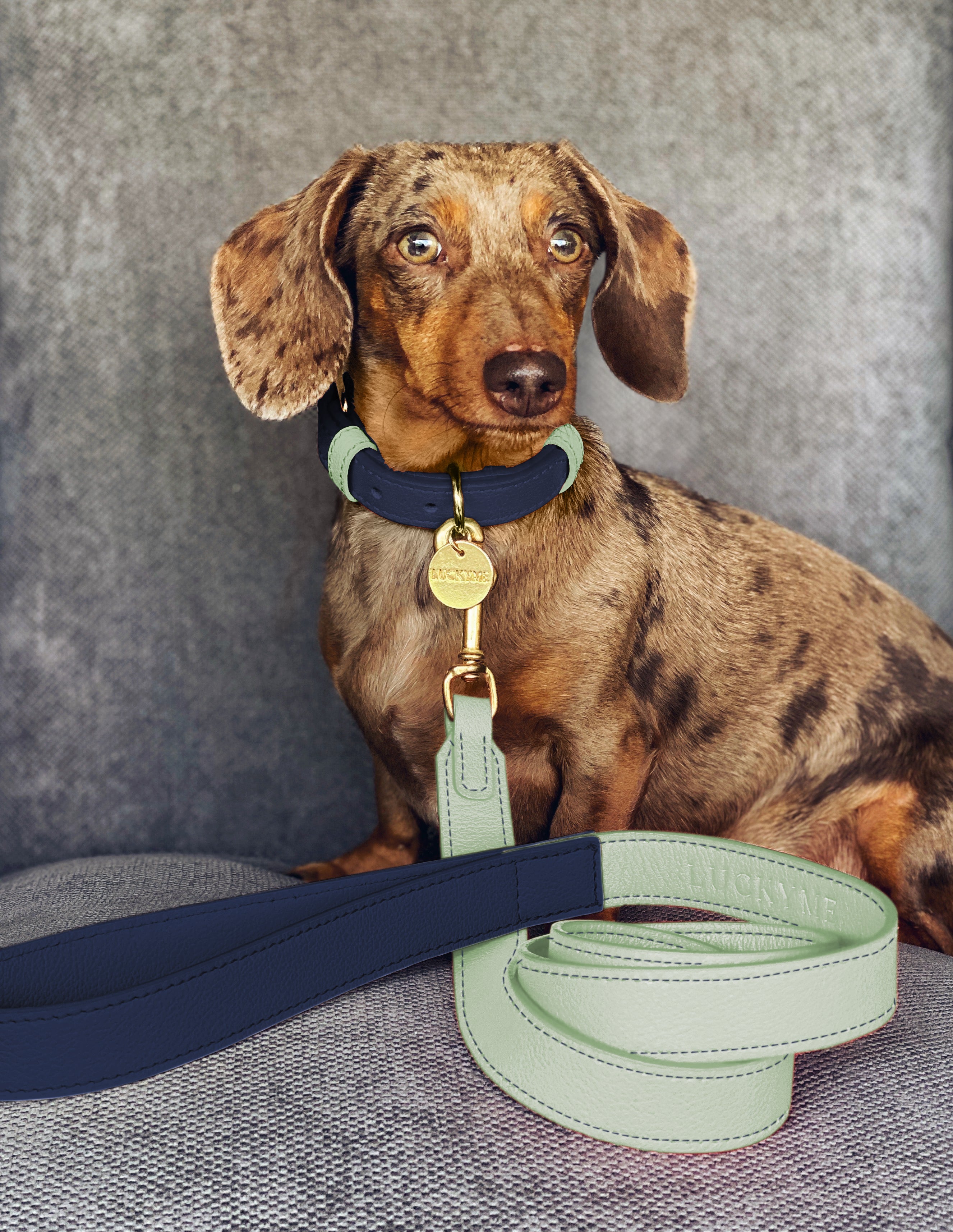 Blueberry Mint Leather Collar Bleu Pets