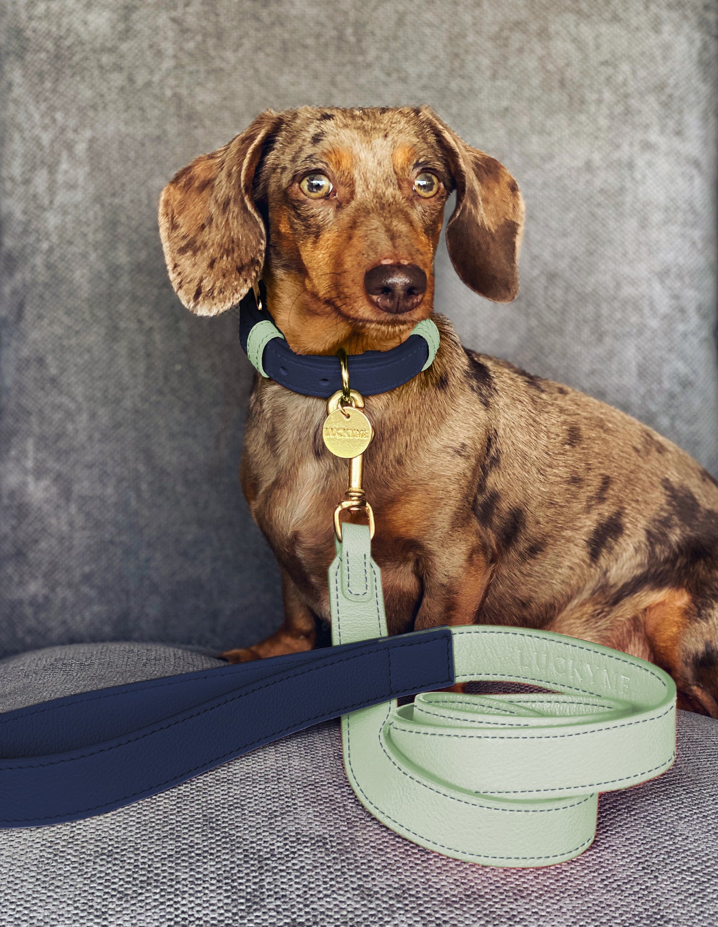 Blueberry/Mint Leather Collar