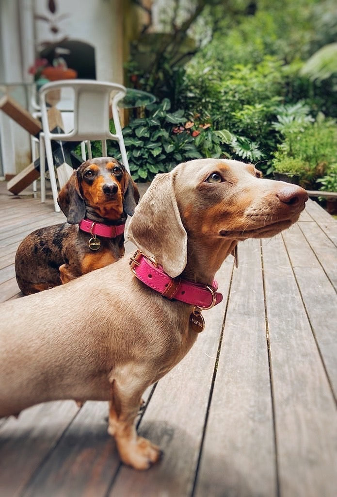 Lychee/Cocoa Leather Collar