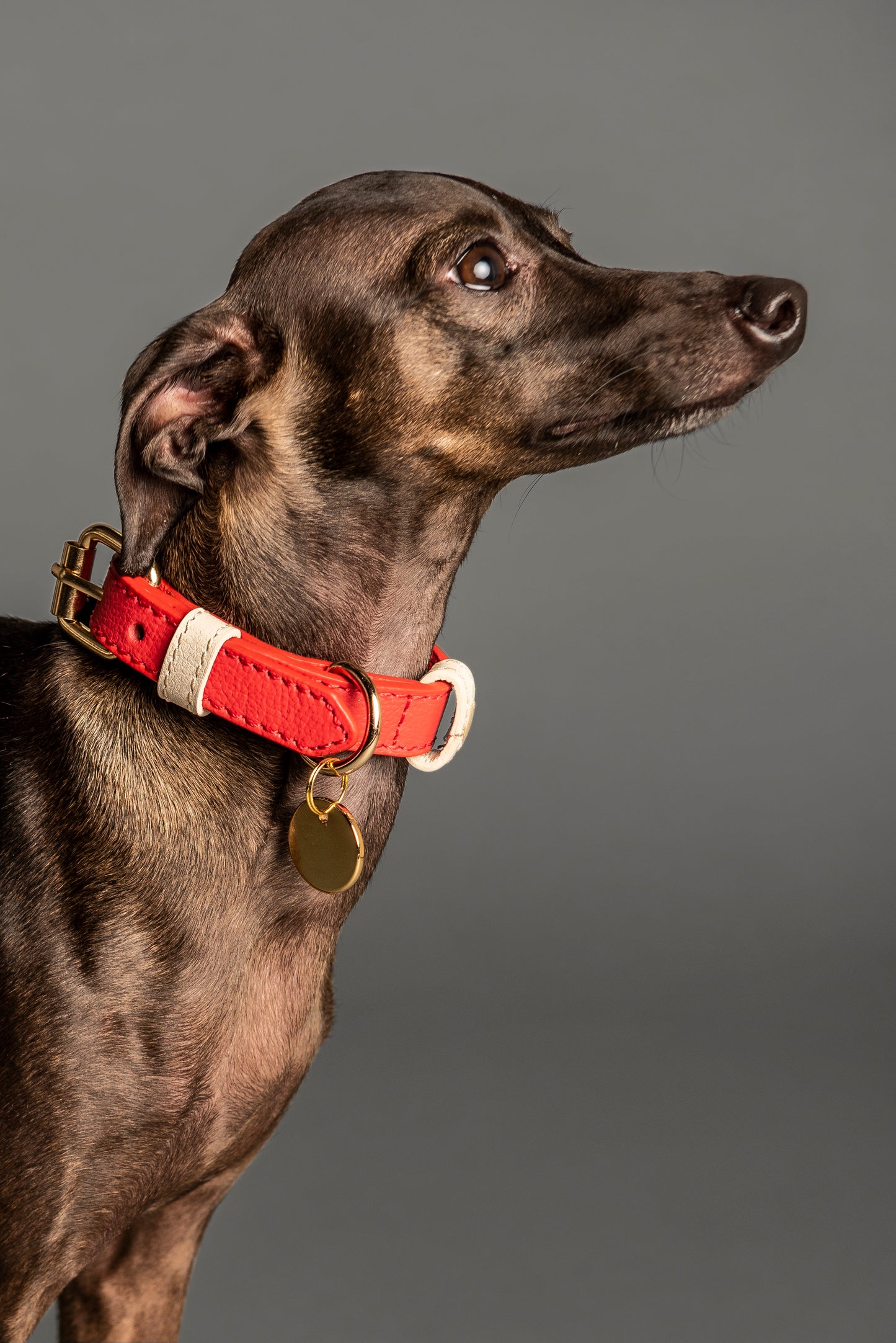 Cherry/Cream Leather Collar