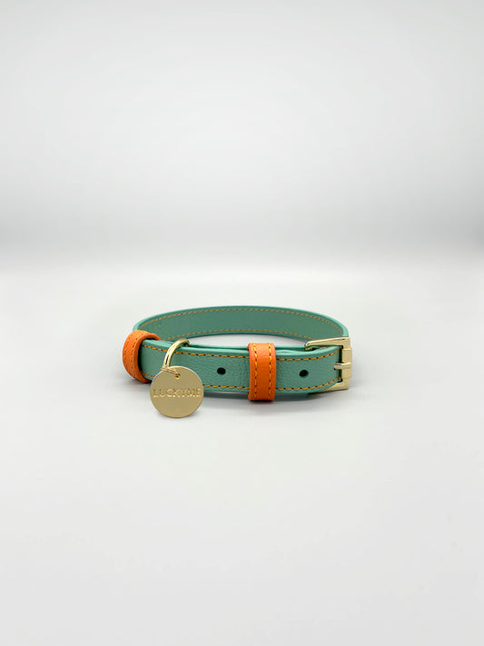 Aquamarine/Papaya Leather Collar