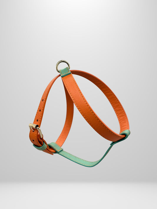 Aquamarine/Papaya Leather Harness