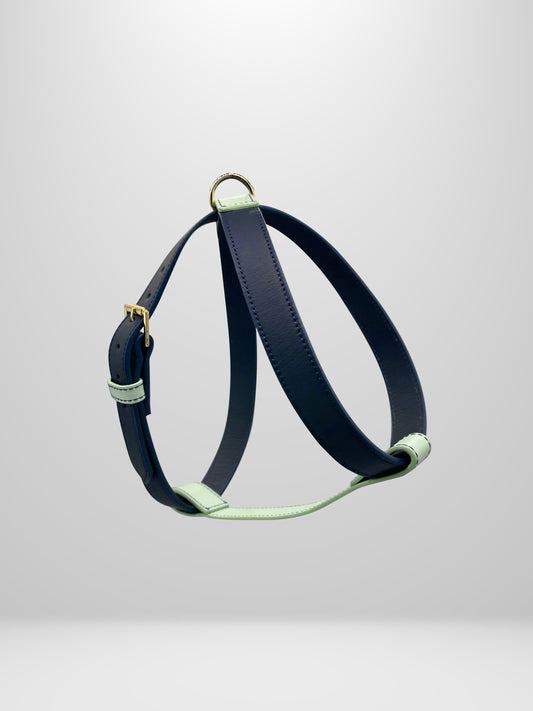 Blueberry/Mint Leather Harness