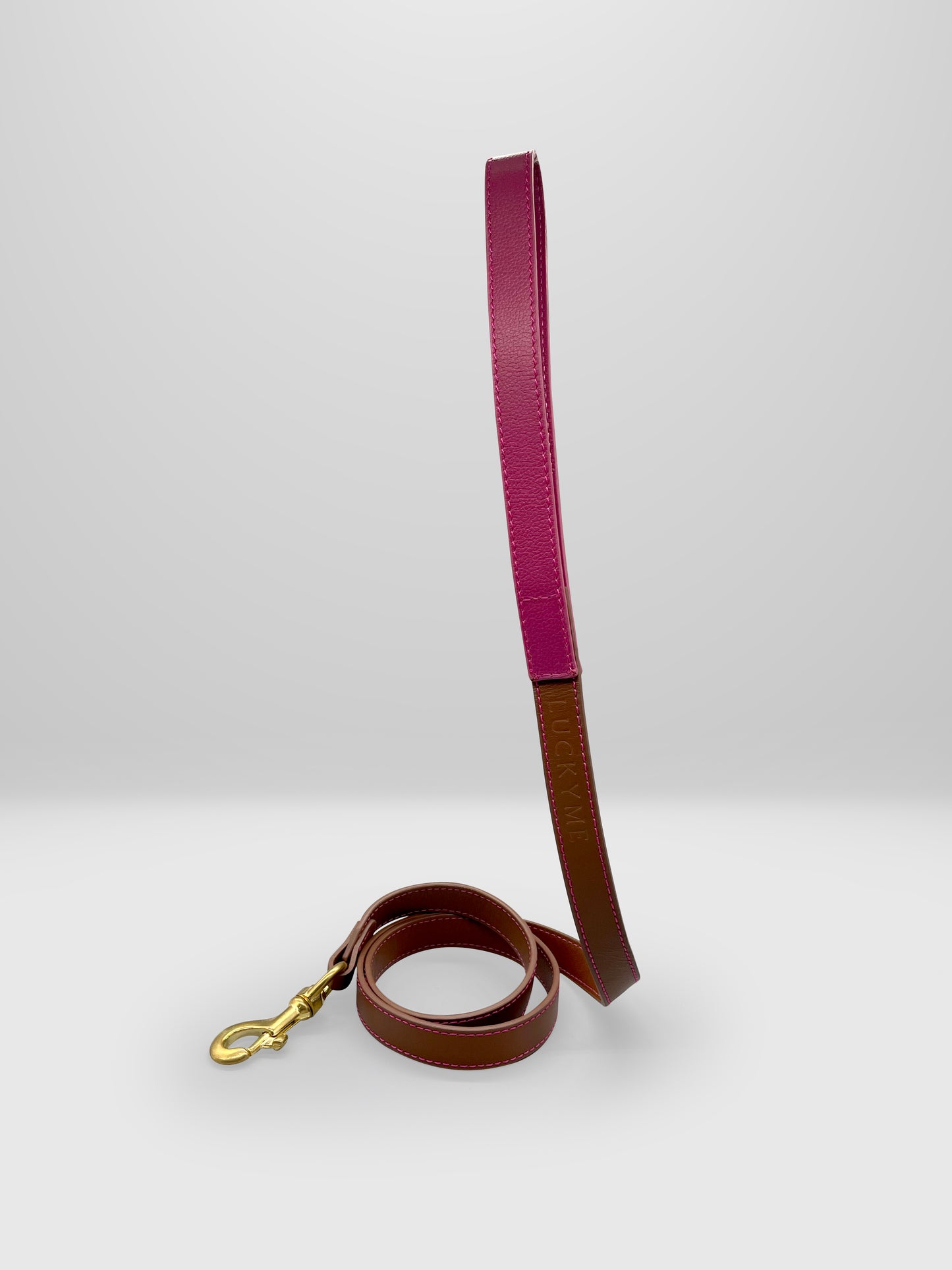 Leather Leashes