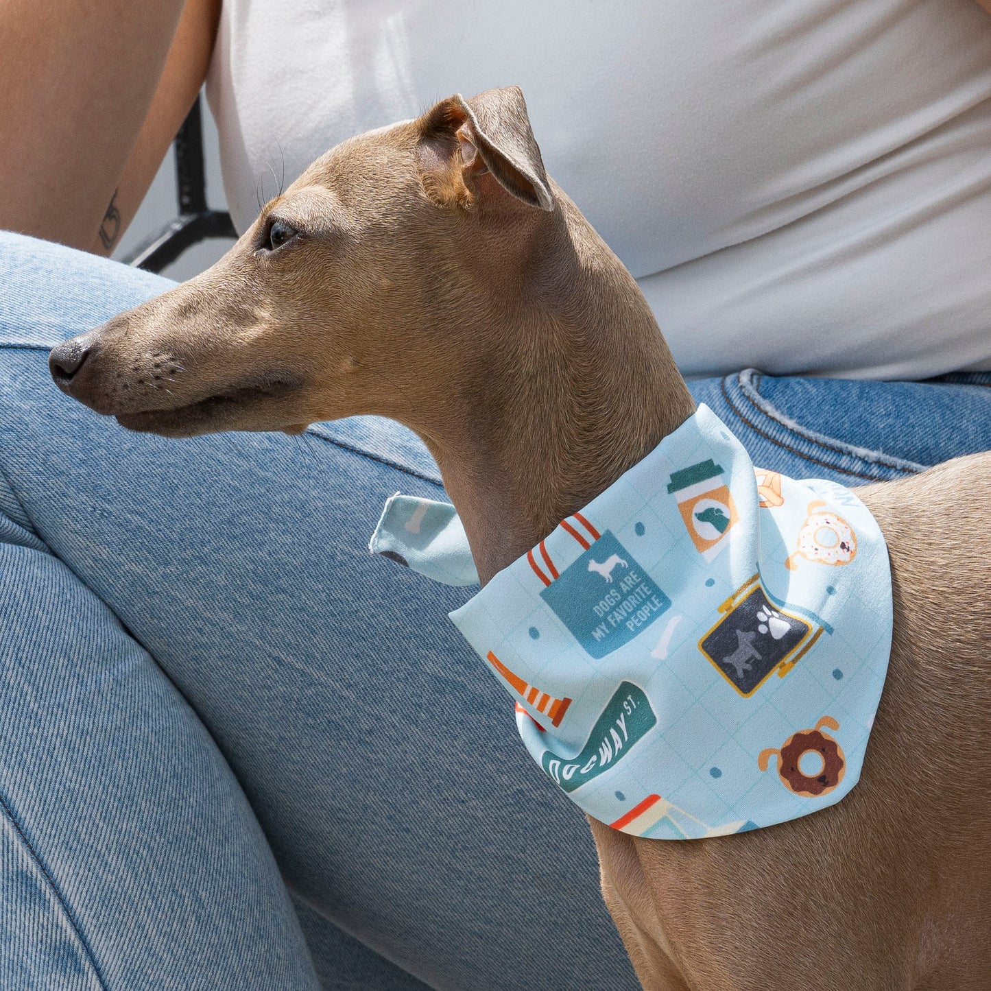 Original Pattern & Colorful Circles Bandana